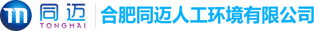 偠t